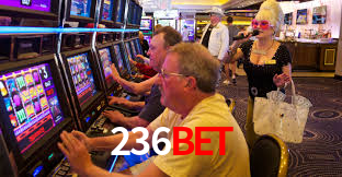 236bet app